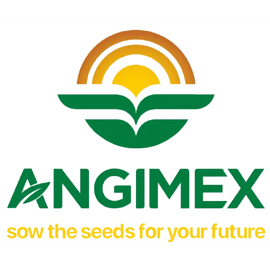 Angimex